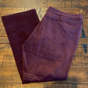 Ann Taylor LOFT Curvy Boot Corduroy Pants
